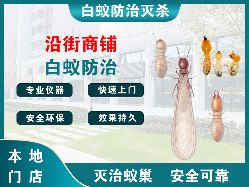 江都区沿街商铺白蚁防治