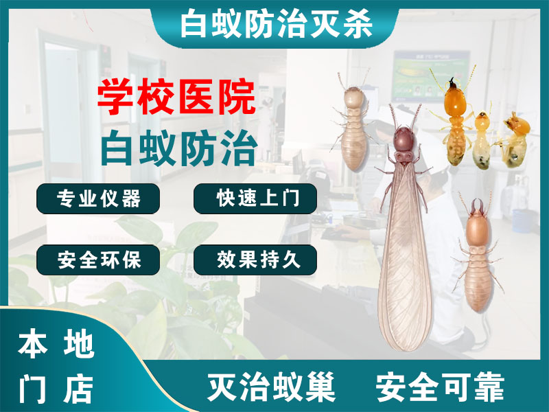 江都区学校医院白蚁防治