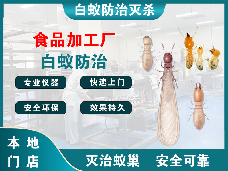 江都区食品加工厂白蚁防治
