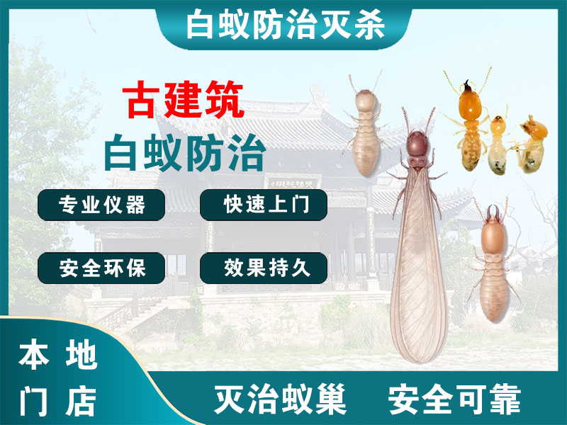江都区古建筑白蚁防治